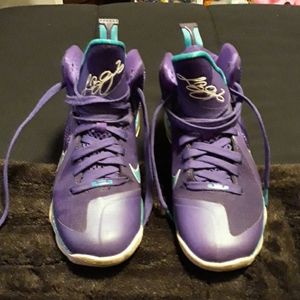 Nike/ Lebrons